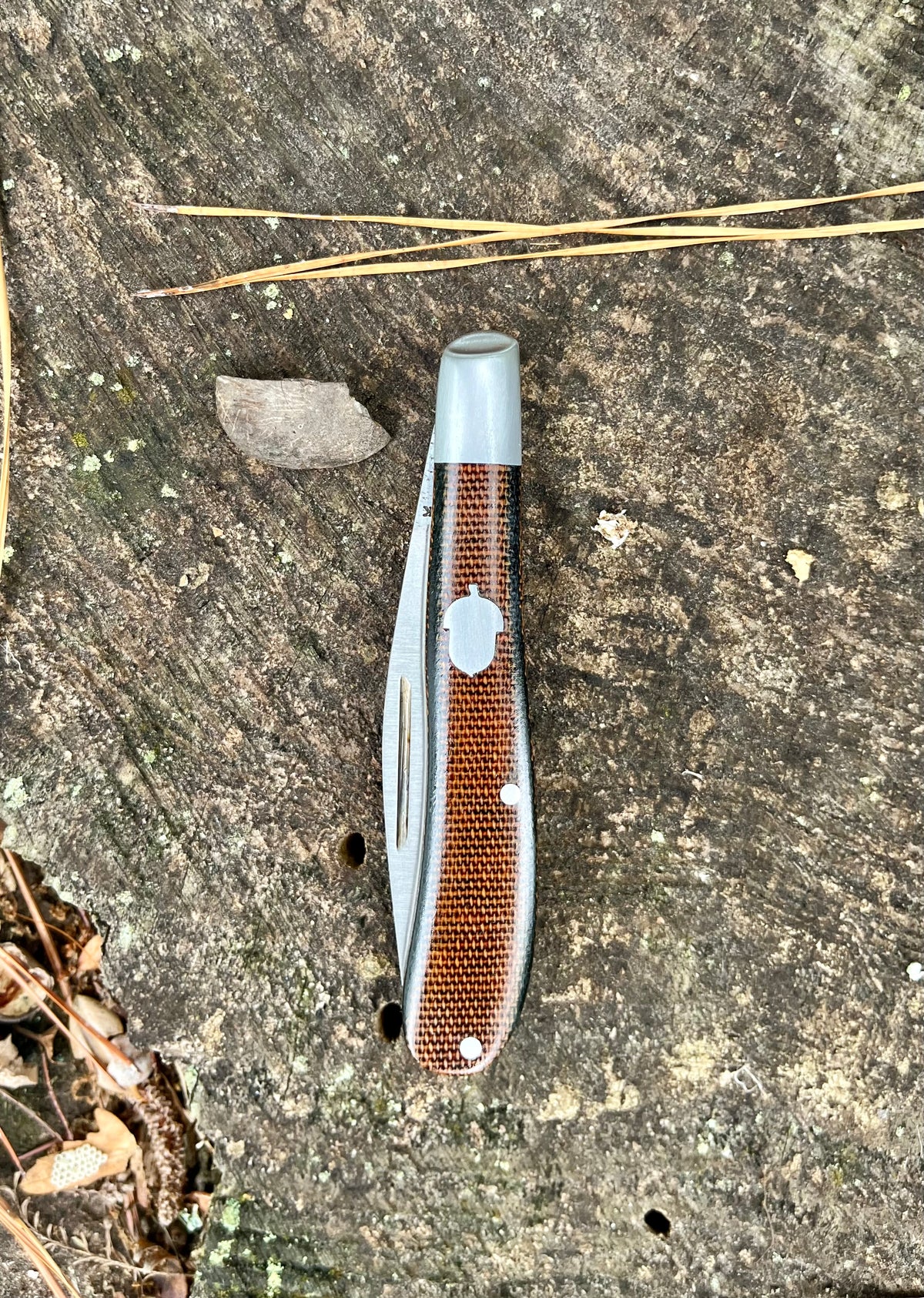 Slimline Trapper